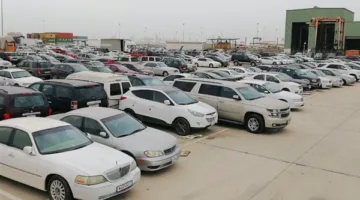 مزاد علني لجمارك بورسعيد ودمياط يحقق مبيعات تتجاوز 39 مليون جنيه على بضائع وسيارات