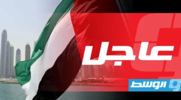مسؤول إماراتي: ادعاءات زائفة حول تدمير الجيش السوداني لطائرة إماراتية مُحملة بمرتزقة