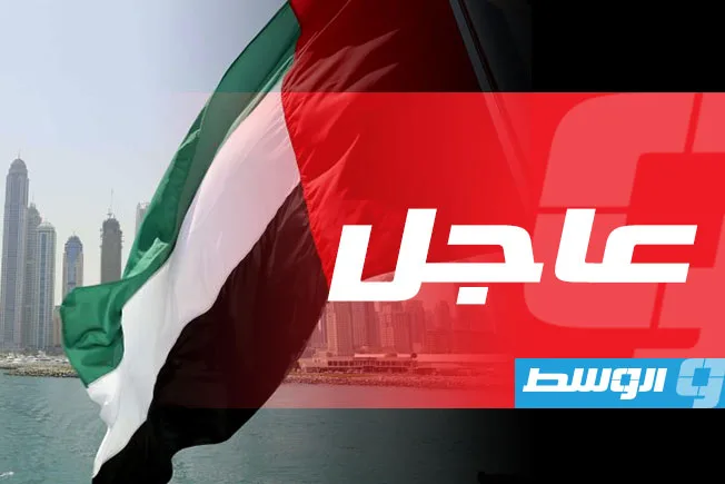 مسؤول إماراتي: ادعاءات زائفة حول تدمير الجيش السوداني لطائرة إماراتية مُحملة بمرتزقة مسؤول إماراتي: ادعاءات زائفة حول تدمير الجيش السوداني لطائرة إماراتية مُحملة بمرتزقة
