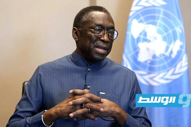 مسؤول دولي: الأزمة الأمنية في الساحل ناتجة عن «تدمير ليبيا» وليس من الأحداث في شمال مالي