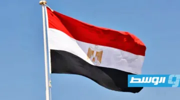 مسؤول مصري لـ«القاهرة الإخبارية»: القرار الآن بيد إسرائيل بعد موافقة حماس على عرض وقف إطلاق النار