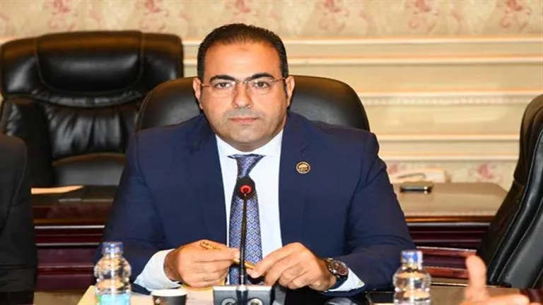 مستقبل وطن يكتمل تجهيزاته لانتخابات المصريين في الخارج