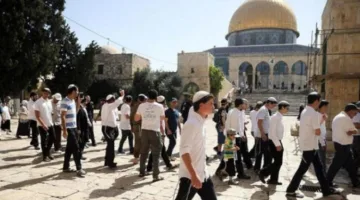 مستوطنون يقتحمون ساحات المسجد الأقصى تحت حماية شرطة الاحتلال الإسرائيلي