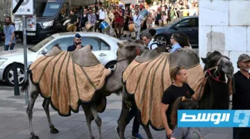 مسيرة على ظهور الجمال في بودابست للتوعية بمخاطر الجفاف والمطالبة بعمل من أجل المناخ