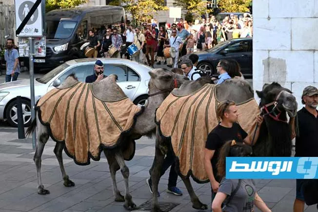 مسيرة على ظهور الجمال في بودابست للتوعية بمخاطر الجفاف والمطالبة بعمل من أجل المناخ