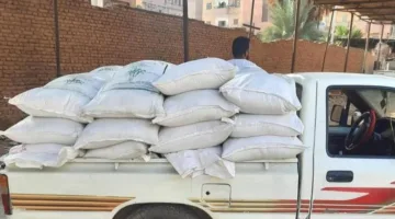 مصادر 9 أطنان من الدقيق في عمليات تفتيش تموينية خلال يوم واحد