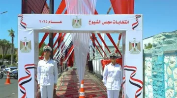 مصدر أمني: بدء تنفيذ استراتيجيات تأمين انتخابات مجلس الشيوخ في جميع أنحاء البلاد