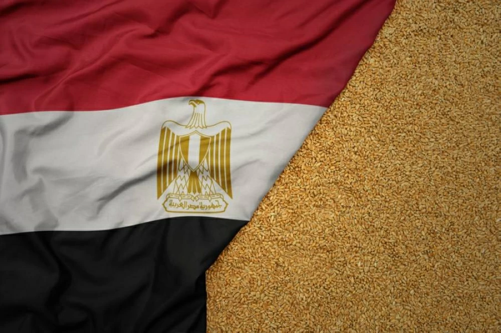 مصر تخفض وارداتها من القمح بأكثر من مليوني طن خلال 7 أشهر مصر تخفض وارداتها من القمح بأكثر من مليوني طن خلال 7 أشهر