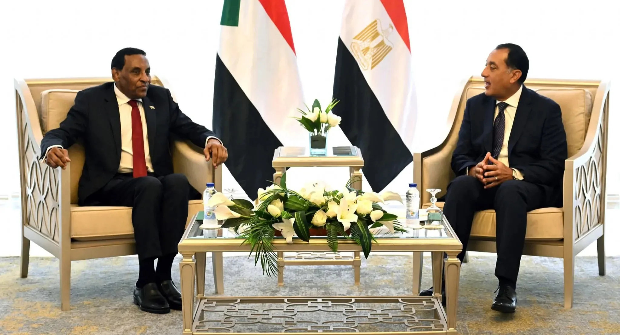 مصر والسودان يوقعان اتفاقية لتيسير تسجيل الأدوية المصرية