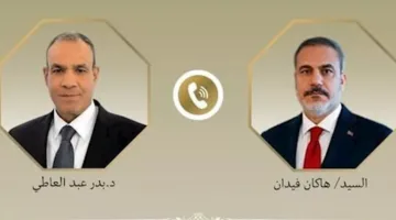 مصر وتركيا: ضرورة الوصول إلى اتفاق شامل للإفراج عن الأسرى وإنهاء الحصار في غزة
