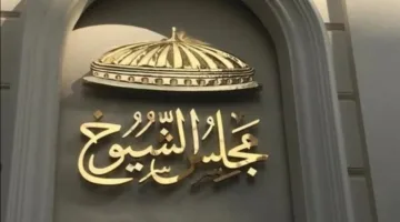 مع اقتراب انتخابات 2025.. ما هي صلاحيات مجلس الشيوخ وفقًا للقانون؟