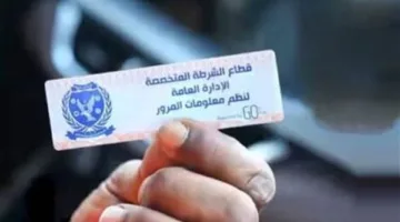 معالجة 1024 انتهاكًا لملصقات إلكترونية وسحب 38 مركبة ودراجة نارية مهملة.