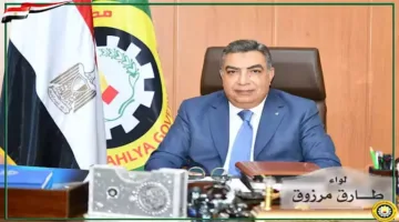 مليون جنيه: دفع الدفعة 200 من قروض مشاريع الشباب في الدقهلية