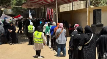 من الإسكندرية إلى أسوان: المحافظات تشهد انتخابات الشيوخ مع زيادة ملحوظة في الإقبال قبل إغلاق اللجان.. فيديو