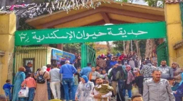 مهددون بالانقراض: confiscation of 18 animals and their transfer to Alexandria Zoo.