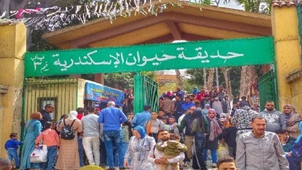 مهددون بالانقراض: confiscation of 18 animals and their transfer to Alexandria Zoo.
