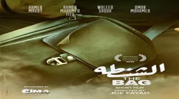 مهرجان الإسكندرية السينمائي يكشف عن أفلام مسابقة “شباب مصر – فئة الطلبة”