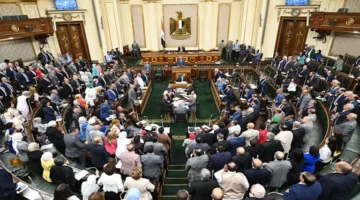 نائب برلماني: المشاركة في انتخابات الشيوخ مسؤولية وطنية ودعوة لتوحيد الصفوف