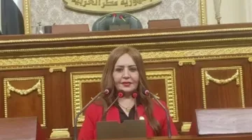 نائبة تطالب بحظر تطبيق «تيك توك» في مصر: «الأسرة يجب أن تتحمل المسؤولية الرئيسية عن انتشار هذه الظاهرة»