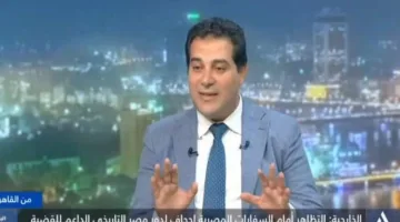 نافع: الاحتجاجات أمام السفارات المصرية تتجاهل دور مصر التاريخي