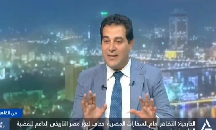 نافع: الاحتجاجات أمام السفارات المصرية تتجاهل دور مصر التاريخي نافع: الاحتجاجات أمام السفارات المصرية تتجاهل دور مصر التاريخي