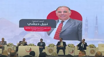 نبيل حبشي: تمكنا من تنفيذ توصيات النسخة الخامسة لمؤتمر المصريين في الخارج.