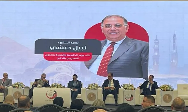 نبيل حبشي: تمكنا من تنفيذ توصيات النسخة الخامسة لمؤتمر المصريين في الخارج.