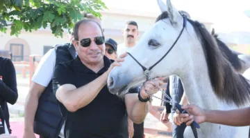 هل أعلن الرئيس المصري عن إنشاء أكبر مركز إقليمي لزراعة الأعضاء في الشرق الأوسط؟ النهار تتحقق من المعلومات