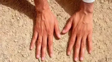 هل يمكن التيمم في حالة انقطاع المياه لمدة يوم كامل؟.. رد أمينة الفتوى
