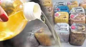 وزارة البيئة تصدر تشريعًا لتنظيم توزيع زيوت الطعام القديمة.