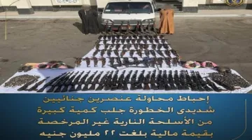 وزارة الداخلية تتمكن من إحباط محاولة شخصين خطيرين لإدخال أسلحة نارية