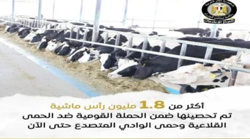 وزارة الزراعة تواصل الحملة الوطنية للتطعيم ضد الحمى القلاعية والوادي المتصدع