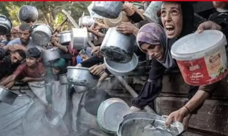 وزارة الصحة في غزة: زيادة عدد ضحايا الجوع في القطاع إلى 281، من بينهم 114 طفلًا وزارة الصحة في غزة: زيادة عدد ضحايا الجوع في القطاع إلى 281، من بينهم 114 طفلًا