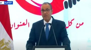 وزير الخارجية: آن الأوان لتنسيق جهود أبناء الجاليات المصرية في الخارج ضمن إطار موحد.