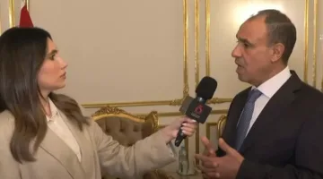 وزير الخارجية: الحكومة تضع اهتمام المصريين في الخارج على قمة أولوياتها