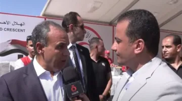 وزير الخارجية: المساعي المصرية تواصلت بتوجيهات من الرئيس السيسي لوقف العدوان على غزة