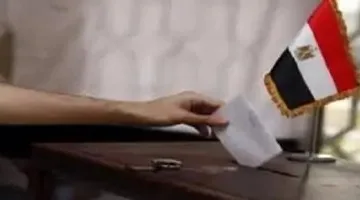 وزير الخارجية: انتخابات مجلس الشيوخ واجب دستوري ويتعين على كل مصري المشاركة في تحديد مستقبل البلاد
