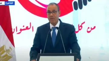 وزير الخارجية: تقديم خدمات شاملة للمصريين في الخارج وجهود دولية لمنع كارثة غزة