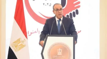 وزير الخارجية: مصر تشكل أساس الاستقرار في المنطقة، رغماً عن الجميع أو مع موافقتهم.