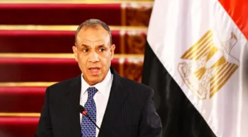 وزير الخارجية: مصر دائماً تدعم الخير، وهناك حملة مشبوهة تُنظم لصالح إسرائيل.