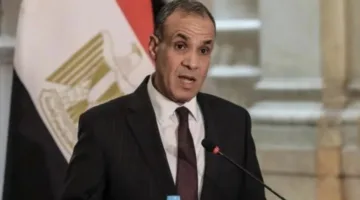 وزير الخارجية: مصر هي الداعم الرئيسي للفلسطينيين وسنستمر في مساعينا لدعم القضية الفلسطينية.