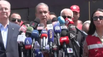 وزير الخارجية: موقف مصر من القضية الفلسطينية ثابت ودائم