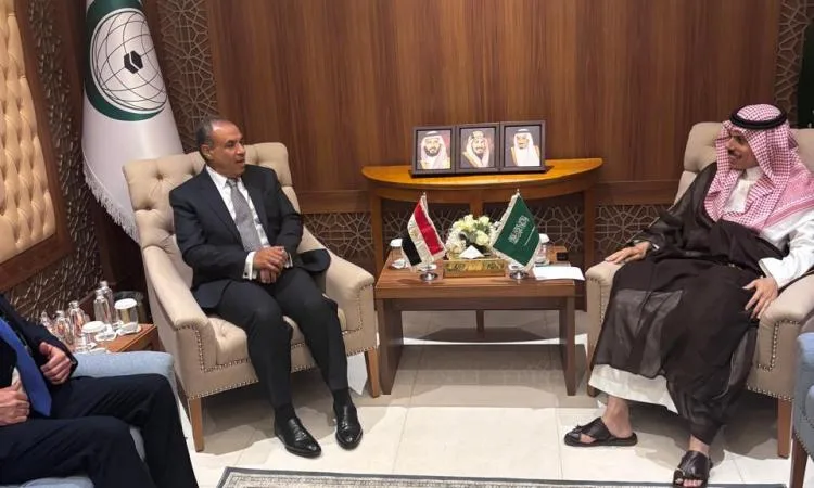 وزير الخارجية ونظيره السعودي يثنيان على تعزيز العلاقات المتنامية بين الدولتين وزير الخارجية ونظيره السعودي يثنيان على تعزيز العلاقات المتنامية بين الدولتين
