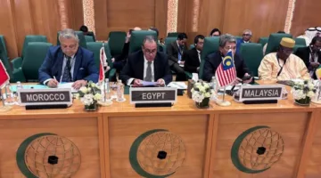 وزير الخارجية يؤكد موقف مصر الثابت ضد محاولات الاحتلال لإنهاء القضية الفلسطينية.