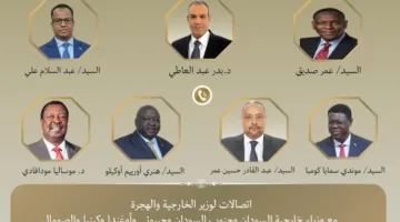 وزير الخارجية يتواصل مع مجموعة من نظرائه في الدول الإفريقية.