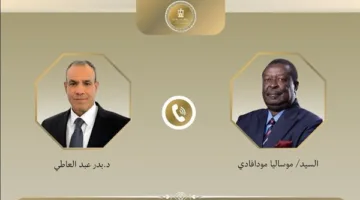 وزير الخارجية يُبلغ نظيره الكيني بعدم قبول الإجراءات الفردية في حوض النيل الشرقي.