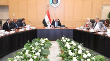 وزير الصناعة يناقش مع مصنعي الحديد وشركات السيارات سُبل تعزيز إنتاج صاج السيارات محليًا