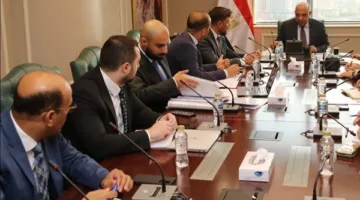 وزير الكهرباء يناقش تعزيز صناعة الأنظمة والمعدات الكهربائية ضمن البرنامج النووي السلمي لإنتاج الطاقة الكهربائية