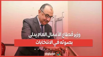 وزير قطاع الأعمال العام يشارك في التصويت بالانتخابات