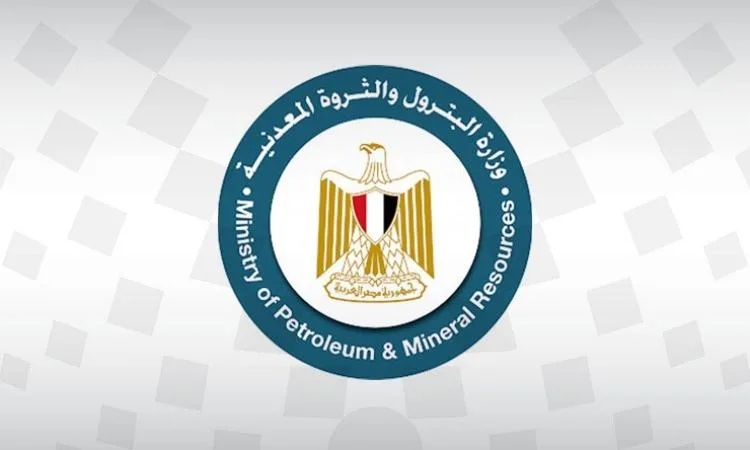 وصول وحدة التغييز العائمة ‘إينرجيوس فورس’ إلى ميناء العقبة وصول وحدة التغييز العائمة ‘إينرجيوس فورس’ إلى ميناء العقبة
